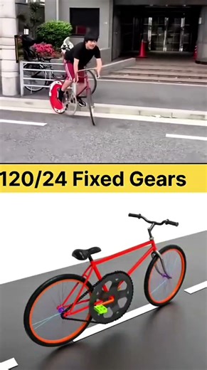 🚲 The Ultimate Challenge of the 120/24 Fixed Gear Bicycle