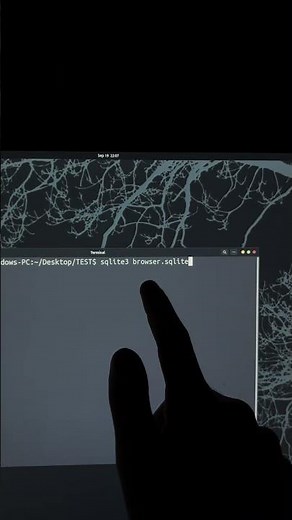 🤓How To Open SQLITE Database Files #LearnLinux #CyberSecurity #EthicalHacking #HackTools