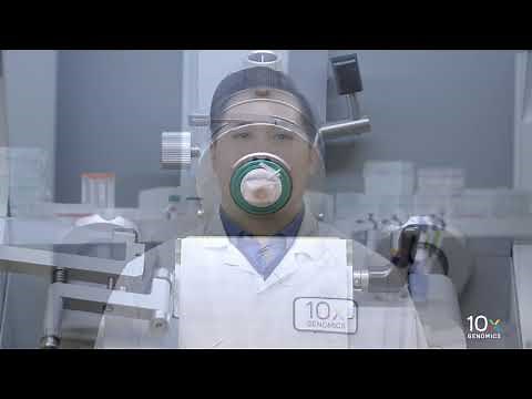 Visium Tissue Preparation Protocol | Practicing Tissue Section Placement on Plain Glass Slides