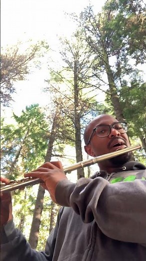 Flute Concerto in G major by Mozart excerpt #flute