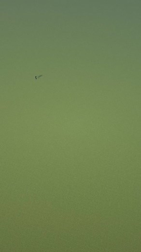 Minecraft Maizen Noob vs Pro - Epic Pixel Art Build Battle