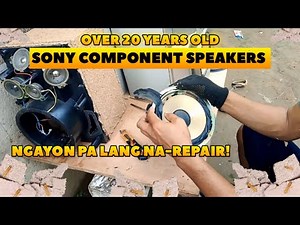Over 20 years old Sony component speakers | speaker edge and speaker box repair