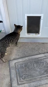 93K views · 2.6K reactions | Welcome to a tour of our current...