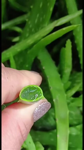 Nunca Mais Se Sinta Envergonhado: Método Natural