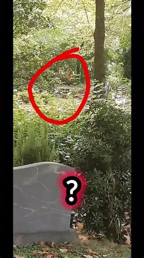 Paranormale Aktivität auf dem Friedhof.