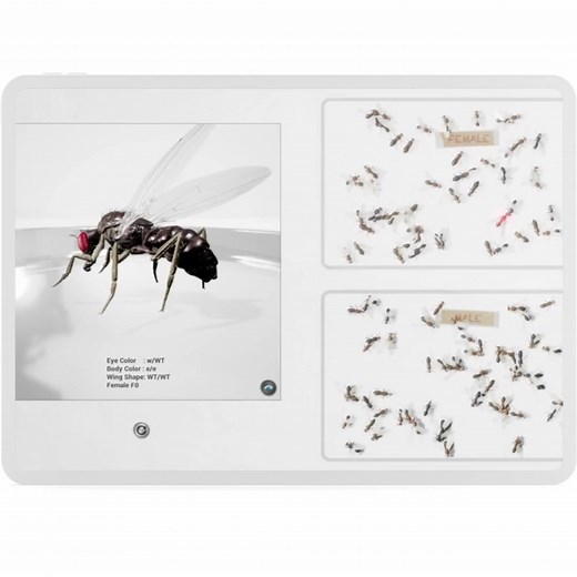 Anatomage on Reels | Facebook