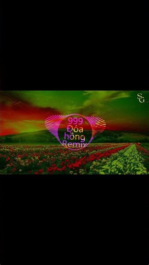 999 Roses Remix | Chinese Pop with Vietnamese Lyrics