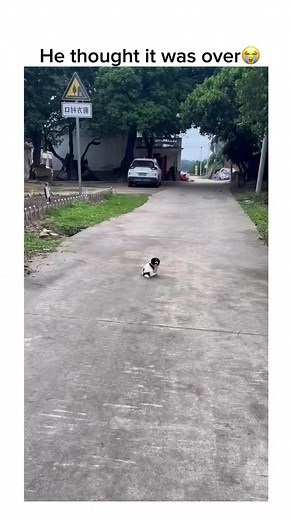 Freshly.Pressed on TikTok