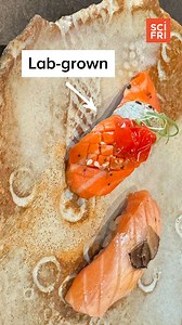 Cell-cultured salmon used to taste “like wet beef jerky,” says chef Adam Tortosa. But now, after years of development, four restaurants in the U.S. are serving up cultivated salmon made by the company Wildtype. Producer Kathleen Davis traveled to a restaurant in San Francisco to give it a taste. 🍣 Listen to the full podcast: https://buff.ly/UnS6PCa | Science Friday