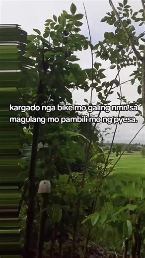 How to Upgrade Your BMX Bike with Affordable Parts