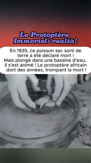 Le Protoptère Immortel