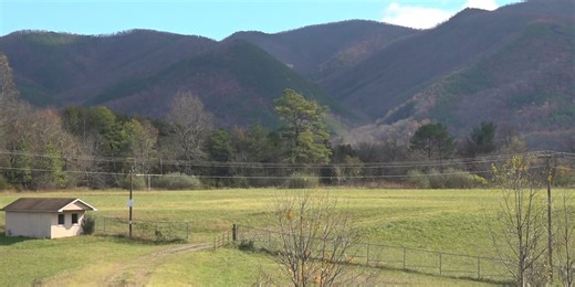 Forest thrives a year after Matts Creek Fire; cause still not determined