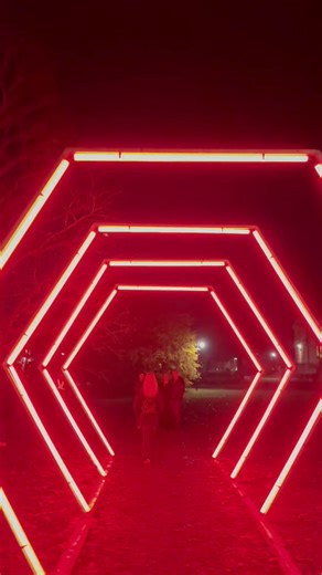 Ola Sundgren on Reels