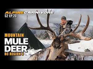 MOUNTAIN MULE DEER HUNTING | BC REGION 3 P.3