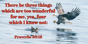 𝐏𝐫𝐨𝐯𝐞𝐫𝐛𝐬 𝟑𝟎:𝟏𝟖 𝐓𝐡𝐞𝐫𝐞 𝐛𝐞 𝐭𝐡𝐫𝐞𝐞 𝐭𝐡𝐢𝐧𝐠𝐬 𝐰𝐡𝐢𝐜𝐡 𝐚𝐫𝐞 𝐭𝐨𝐨 𝐰𝐨𝐧𝐝𝐞𝐫𝐟𝐮𝐥 𝐟𝐨𝐫 𝐦𝐞, 𝐲𝐞𝐚, 𝐟𝐨𝐮𝐫 𝐰𝐡𝐢𝐜𝐡 𝐈 𝐤𝐧𝐨𝐰 𝐧𝐨𝐭: Meditate wisely on four mysteries. Beyond human comprehension, they cause the mind to consider the Creator responsible for their unique properties. Beyond man’s ability to fully grasp or to duplicate, they humble the mind to admit the great need for wisdom. The inspired prophet Agur used sets of four things to teach Ithiel and