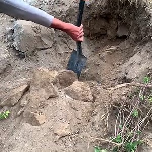 1.5M views · 7.7K reactions | The great king's precious stone and dagger were found | Gold mine | Facebook