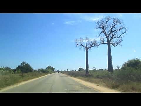 Voyage à Madagascar : RoadTrip entre Miandrivazo et Morondava