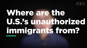 276K views · 1.8K reactions | The number of immigrants staying in the...
