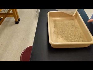 Separation of Mixtures: Magnetism