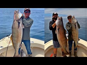 Catalina Island Giant White Seabass Catch and Cook (New Personal Best)