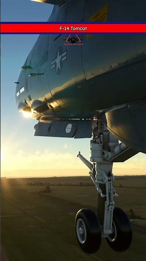 F-14 Tomcat: Incredible Landing Gear Retraction Unleashed!