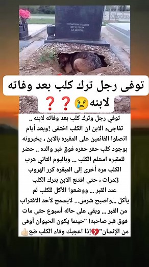 Ayman Al-Dulaimy on Reels