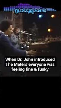 When Dr. John introduced The Meters everyone was feeling fine & funky. Live in concert 1974