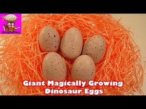 GIANT Magically Growing Dinosaur Eggs - Toy Opening Video