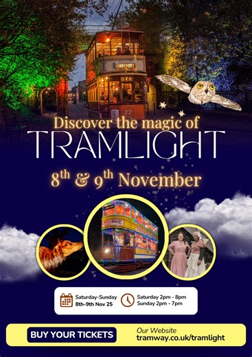 12K views · 97 reactions | ✨ Step into the magic of Tramlight at...