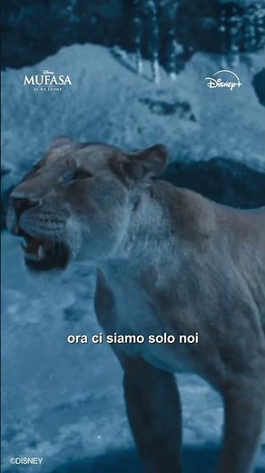 Mufasa: Il Re Leone | Disponibile su Disney+