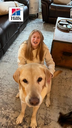 Tips for Keeping Your Dog Healthy and Happy with Hill's Pet Nutrition