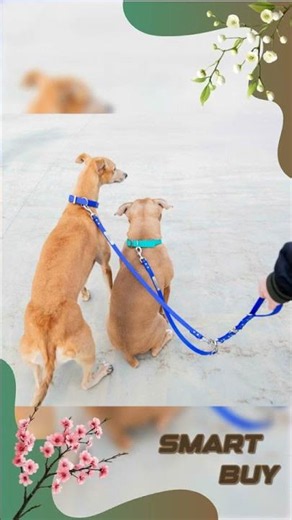 Waterproof Tangle-Free Multi-Dog Leash