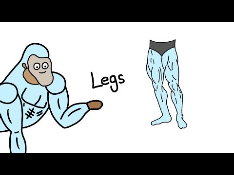 How To Get Big Legs Explained By Yeti