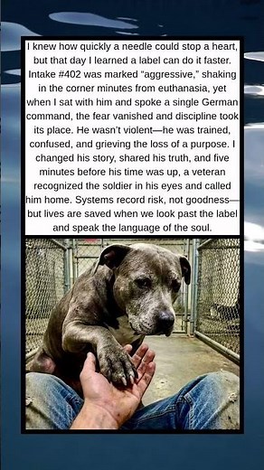 Labeled Aggressive, Saved by Understanding