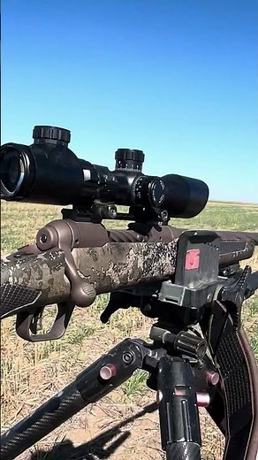 Osprey global rifle scope review sds 3-12x44mdg completely falls apart after 20 rounds. Ruined hunt