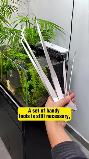 Essential Aquarium Accessories for Planted Tanks