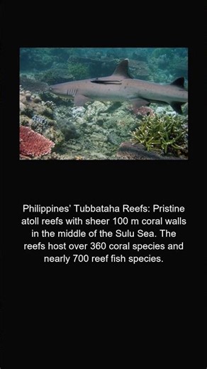 10 Spectacular Underwater Landscapes #underwaterworld #scubalife #ocean #nature #bucketlist