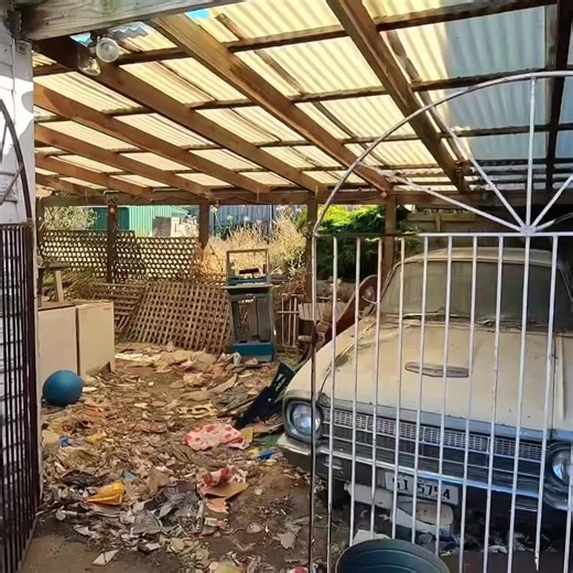 71K views · 1.5K reactions | insane rat infested nightmare rescued | Unofficial: Next | Facebook