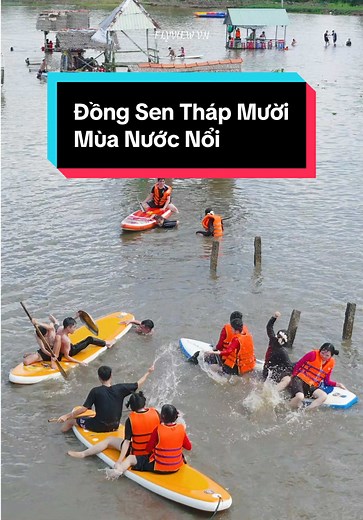 Khám Phá Đồng Sen Tháp Mười Vào Mùa Nước Nổi