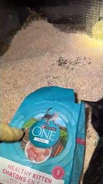 Purina ONE High Protein, Natural Dry Kitten Food, +Plus Healthy Kitten Formula - 16 lb. Bag