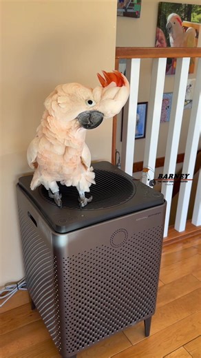 Discover Fun Activities with Rainbow Worms