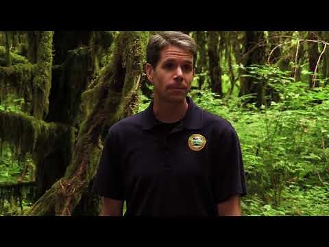 Written Plans - Forest Practices Act Rules