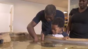 1.6K views · 55 reactions | Are you planning to visit Cape Henlopen...