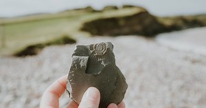 You can go fossil hunting on this beach and live out your Jurassic Park dreams