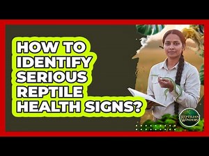 How To Identify Serious Reptile Health Signs?