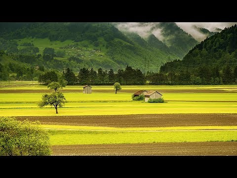 Beautiful Village Life & Landscapes Stock Footages | Free HD Video - no copyright