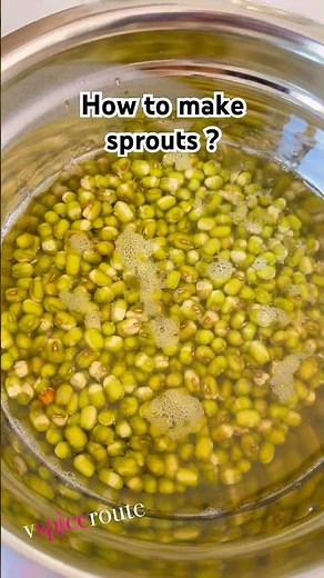 How to make mung bean sprouts ?