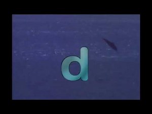 Animal Alphabet - D is for Dolphin