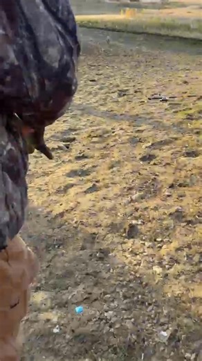 Rob Robinson on Reels | Facebook