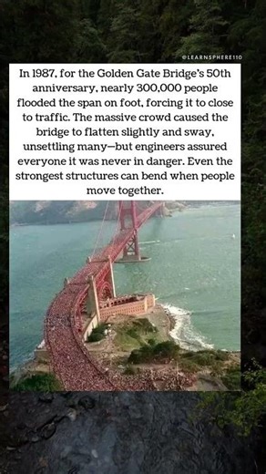 When a Bridge Felt the Crowd 🌉